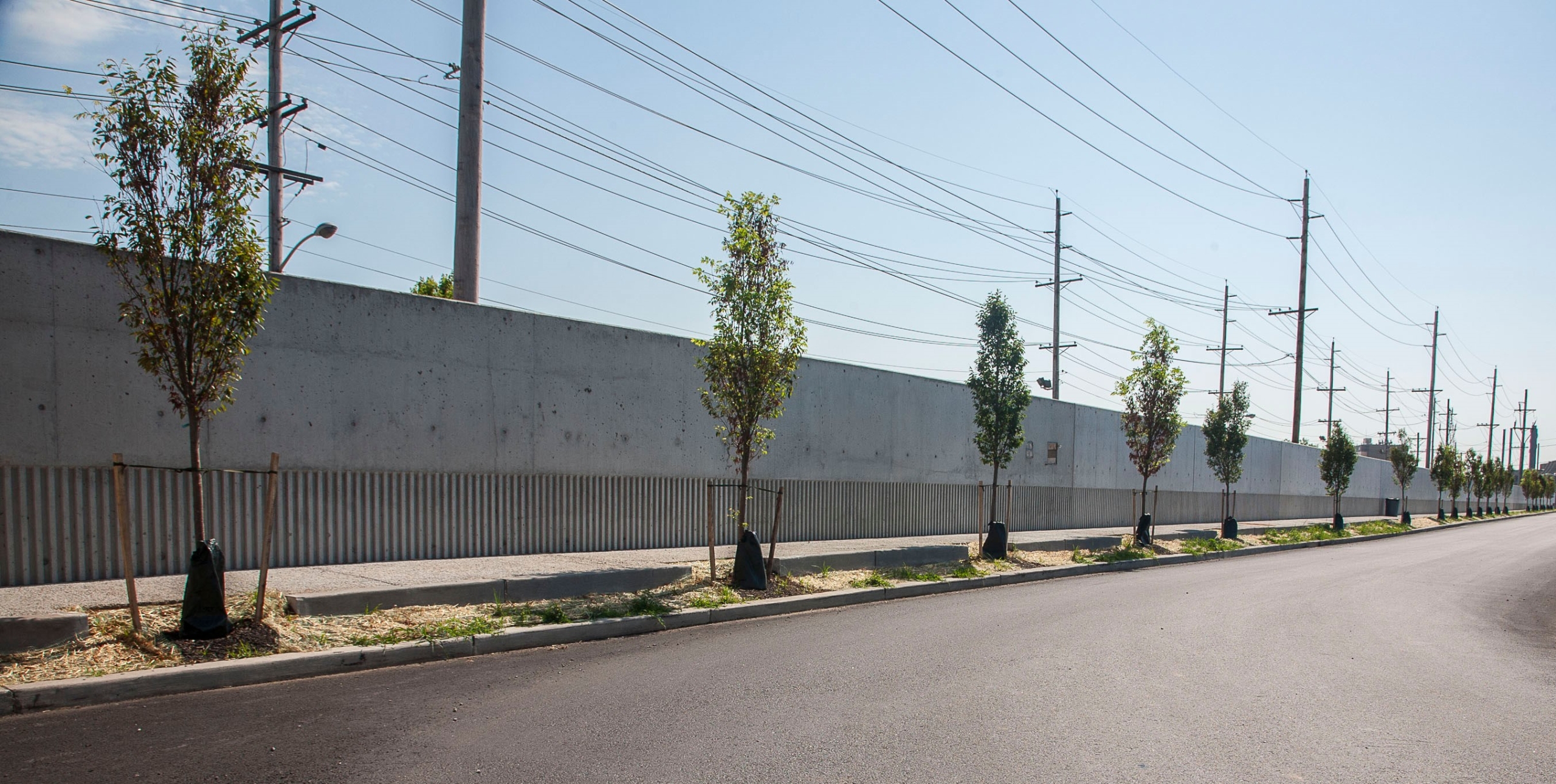 flood-wall-crop Perimeter Floodwall with trees lined up