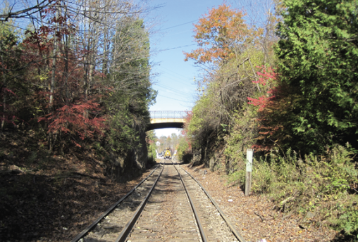 Track with a bridge and trees with foliage